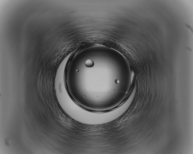 X0000096461108200801311506