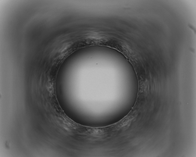 X0000096461109200801311506