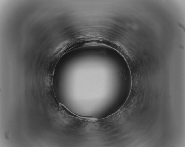 X0000096461110200801311506