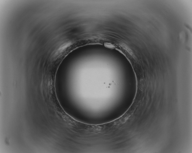 X0000096461111200801311506