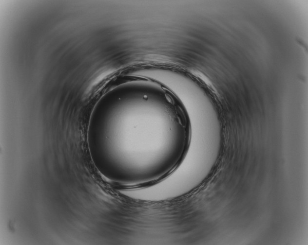 X0000096461112200801311506