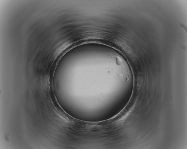 X0000096461113200801311506