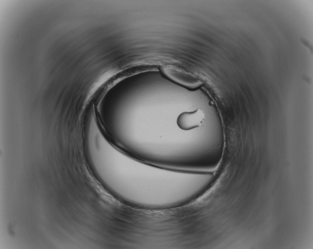 X0000096461114200801311506