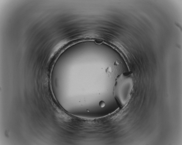 X0000096461115200801311506