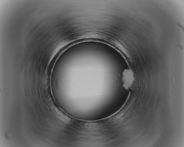 X0000096461116200801311506
