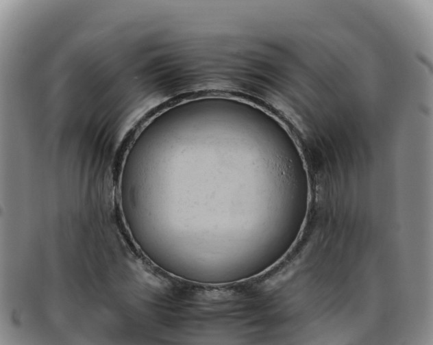 X0000096461117200801311506