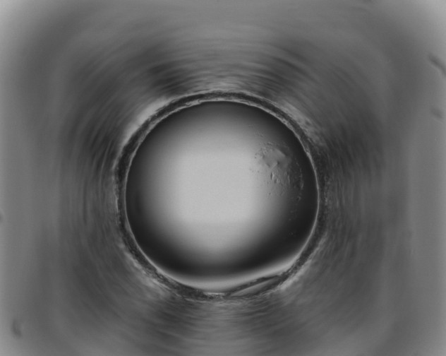 X0000096461118200801311506