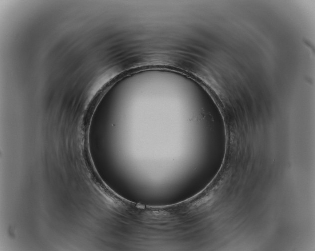 X0000096461119200801311506