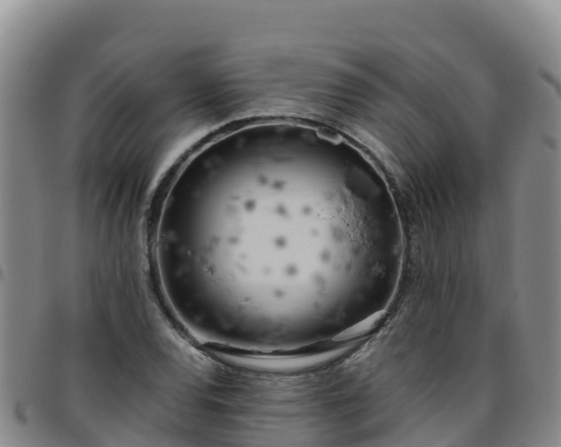 X0000096461120200801311506