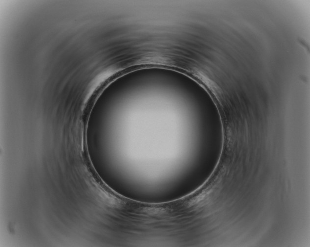 X0000096461123200801311506