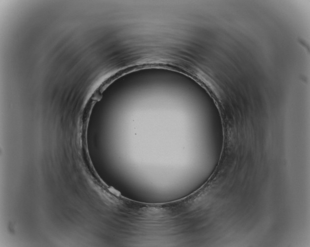 X0000096461124200801311506