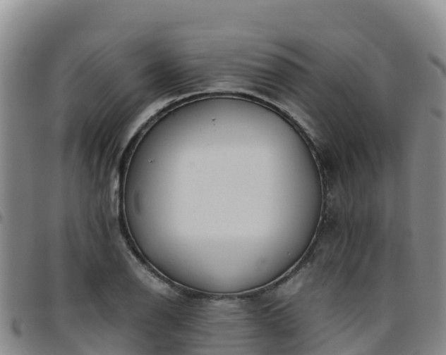 X0000096461126200801311506