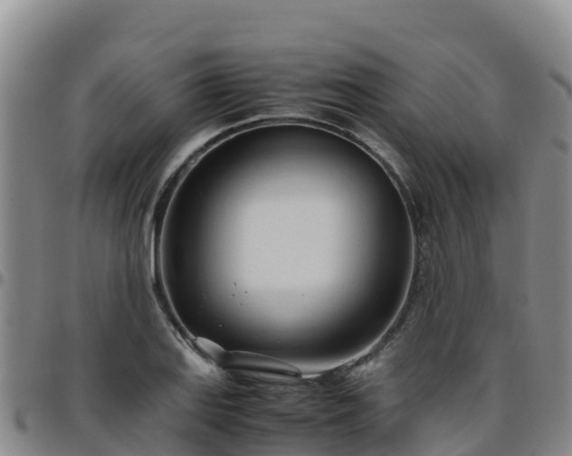 X0000096461127200801311506