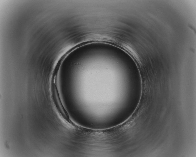 X0000096461128200801311506