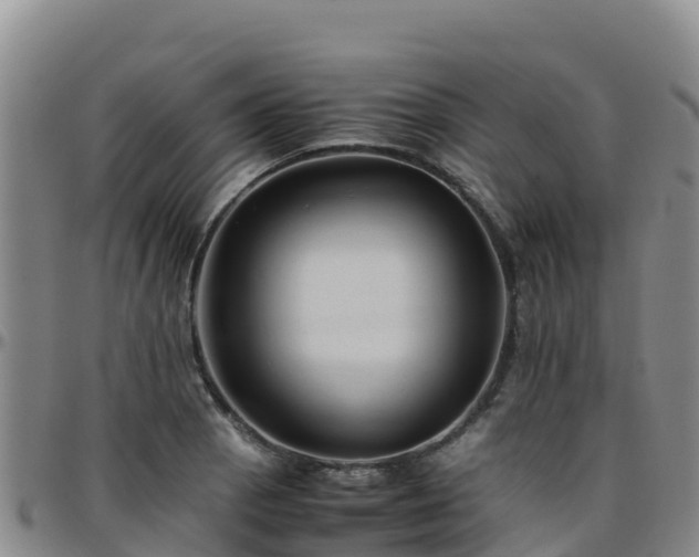 X0000096461129200801311506