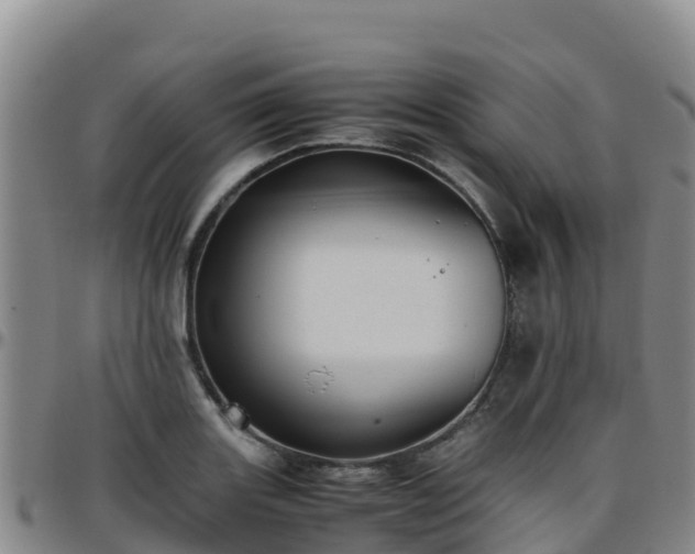 X0000096461131200801311506