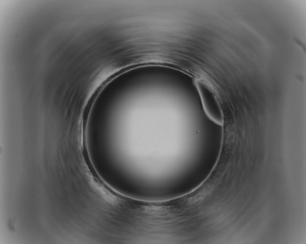 X0000096461132200801311506