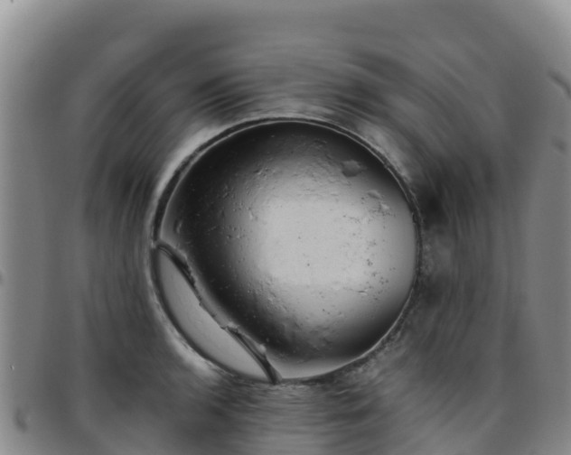 X0000096461136200801311506