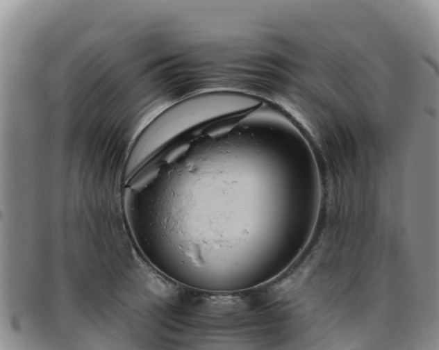 X0000096461137200801311506