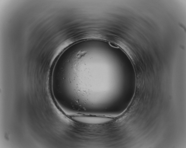 X0000096461139200801311506