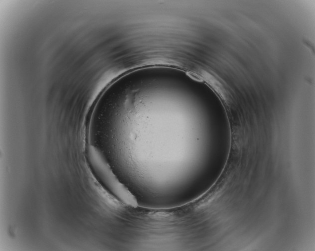 X0000096461140200801311506