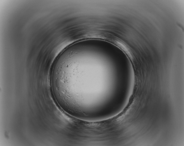 X0000096461141200801311506