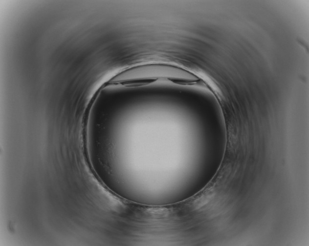 X0000096461142200801311506