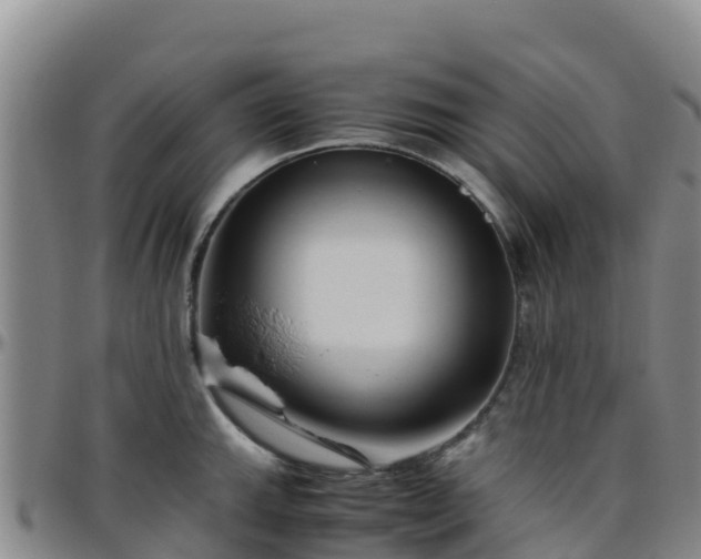 X0000096461143200801311506