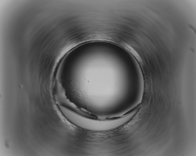 X0000096461144200801311506