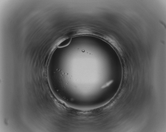X0000096461145200801311506