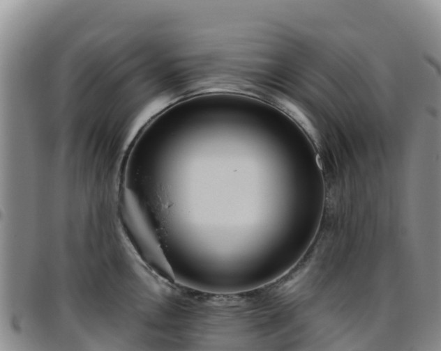 X0000096461146200801311506
