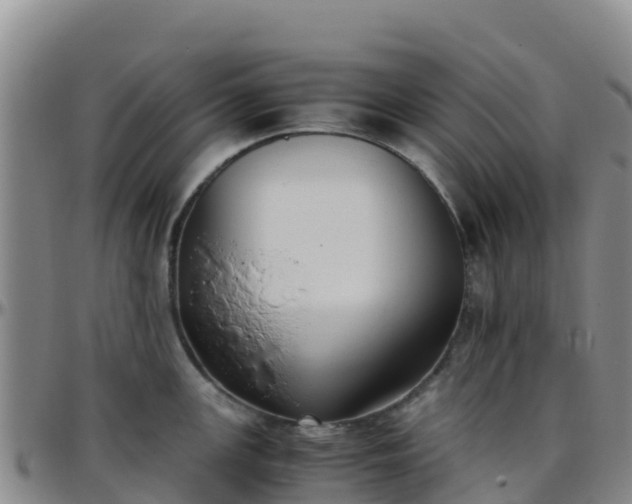X0000096461147200801311506