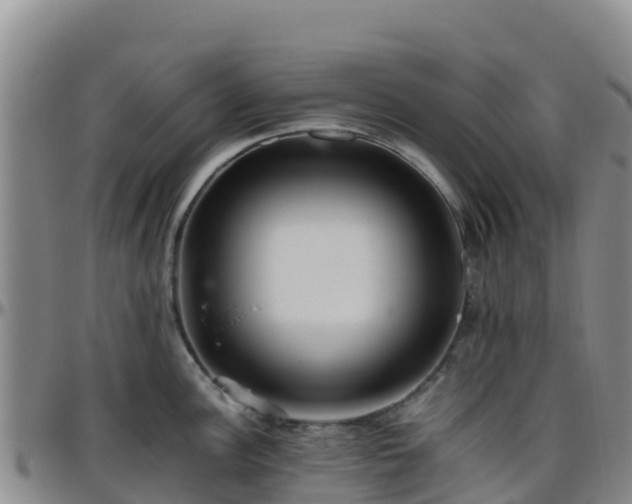 X0000096461148200801311506