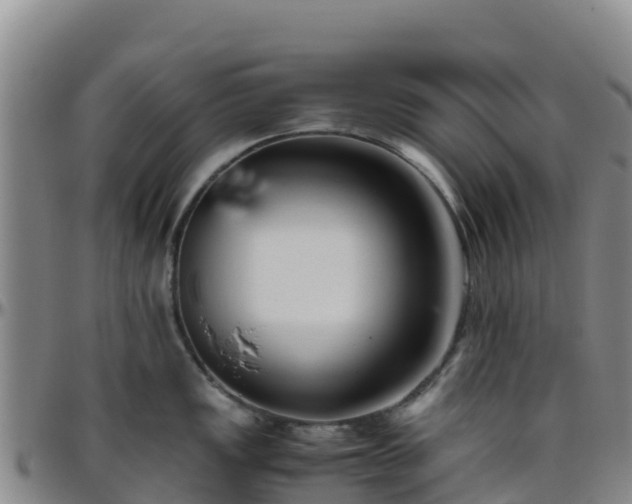 X0000096461149200801311506