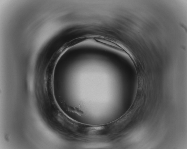 X0000096461151200801311506