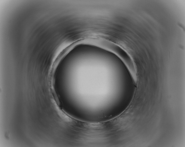 X0000096461152200801311506