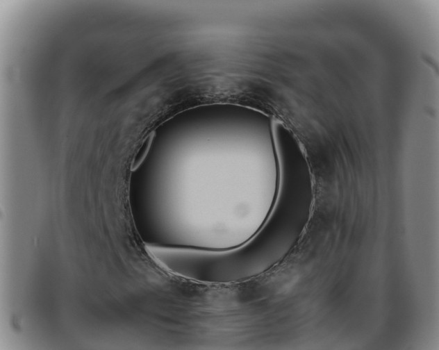 X0000096461153200801311506
