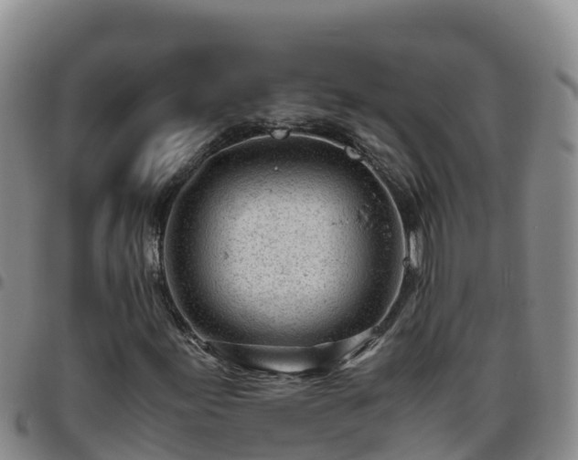 X0000096461155200801311506