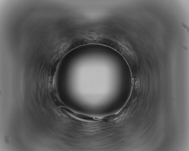 X0000096461156200801311506
