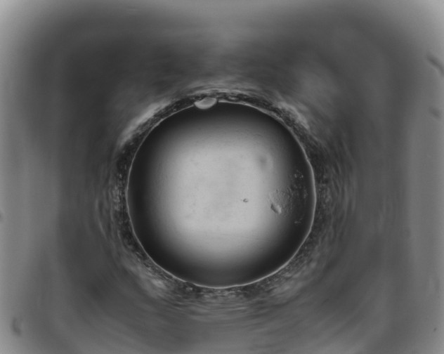 X0000096461159200801311506