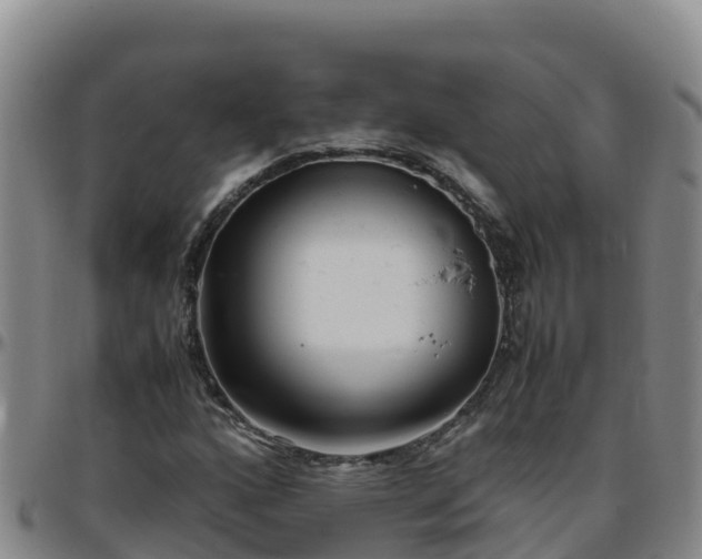 X0000096461160200801311506