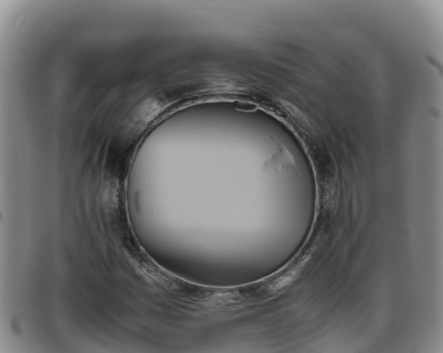 X0000096461161200801311506