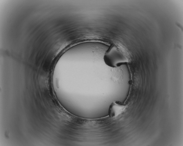 X0000096461162200801311506