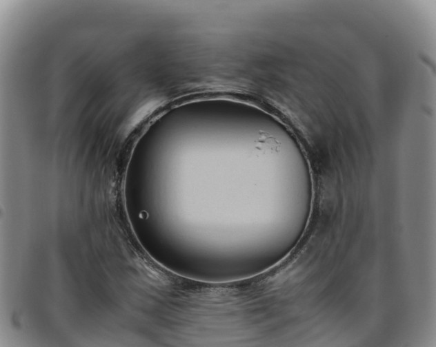 X0000096461163200801311506