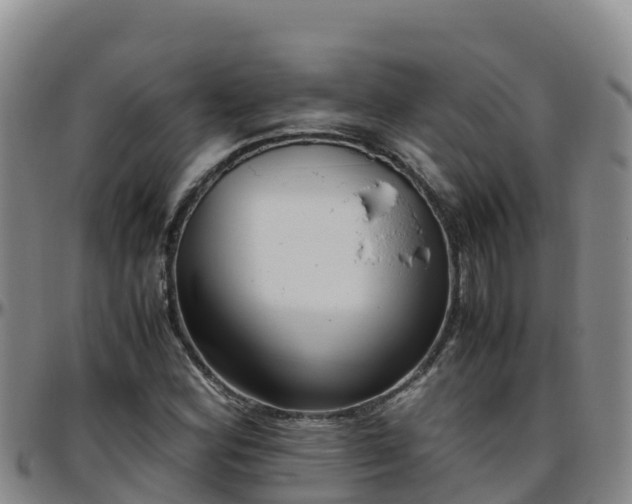 X0000096461164200801311506