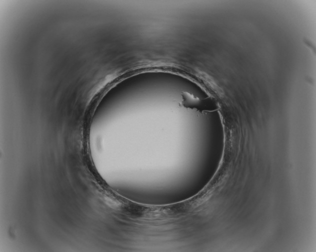 X0000096461165200801311506