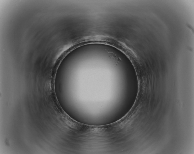 X0000096461166200801311506