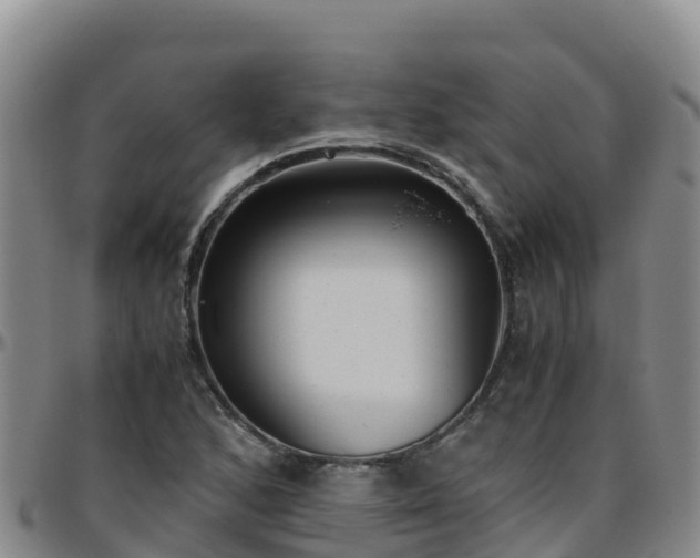 X0000096461168200801311506
