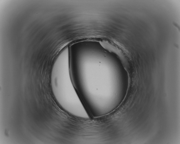 X0000096461169200801311506
