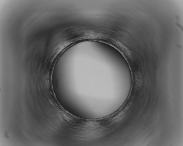 X0000096461170200801311506